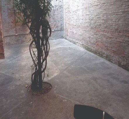 WhatsApp Image 2025-10-05 at 20.30.57